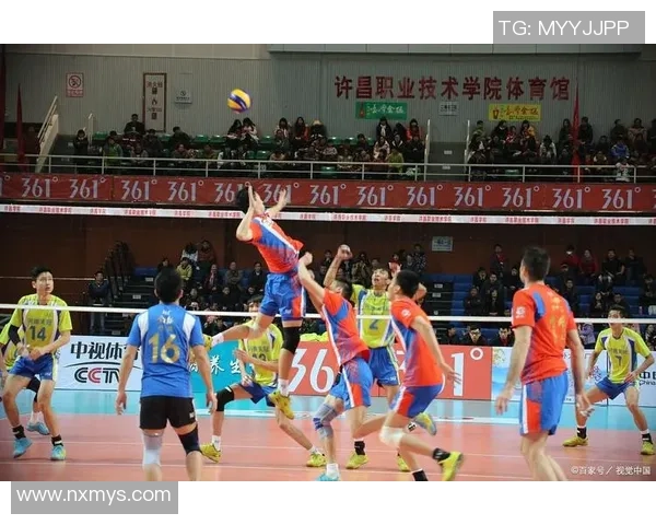 北京排球队团队协作新策略引发热议助力竞技水平提升